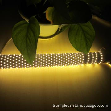 White FPC 120leds 3528 non-waterproof LED stripe light